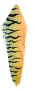 MFC Galloups Fish Feathers
