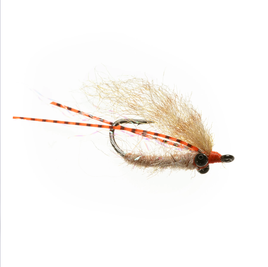 EP Christmas Island- Pearl/Shrimp Tan