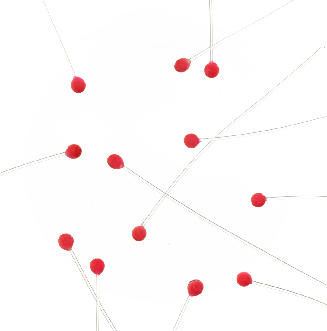 EP Flies Crab & Shrimp Eyes