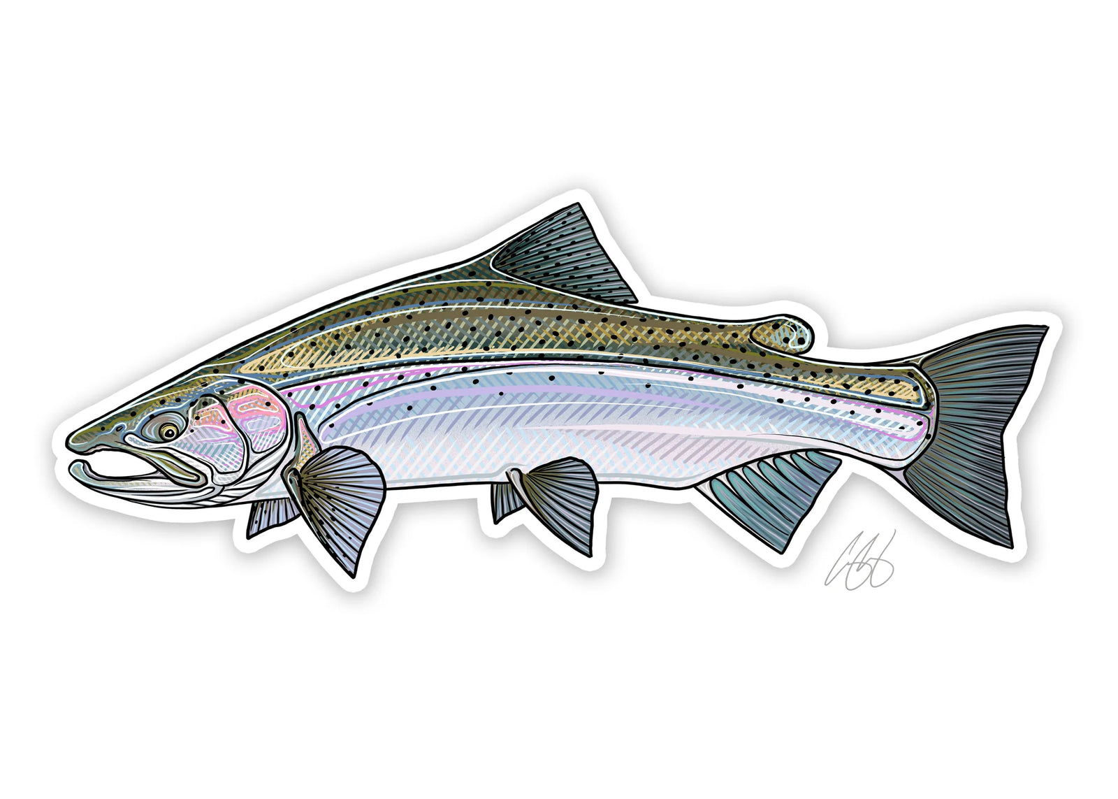Casey Underwood Steelhead Decal