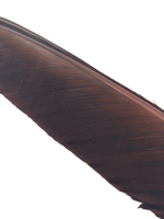 Nature's Spirit Turkey Biot Quill Pieces