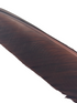 Nature's Spirit Turkey Biot Quill Pieces