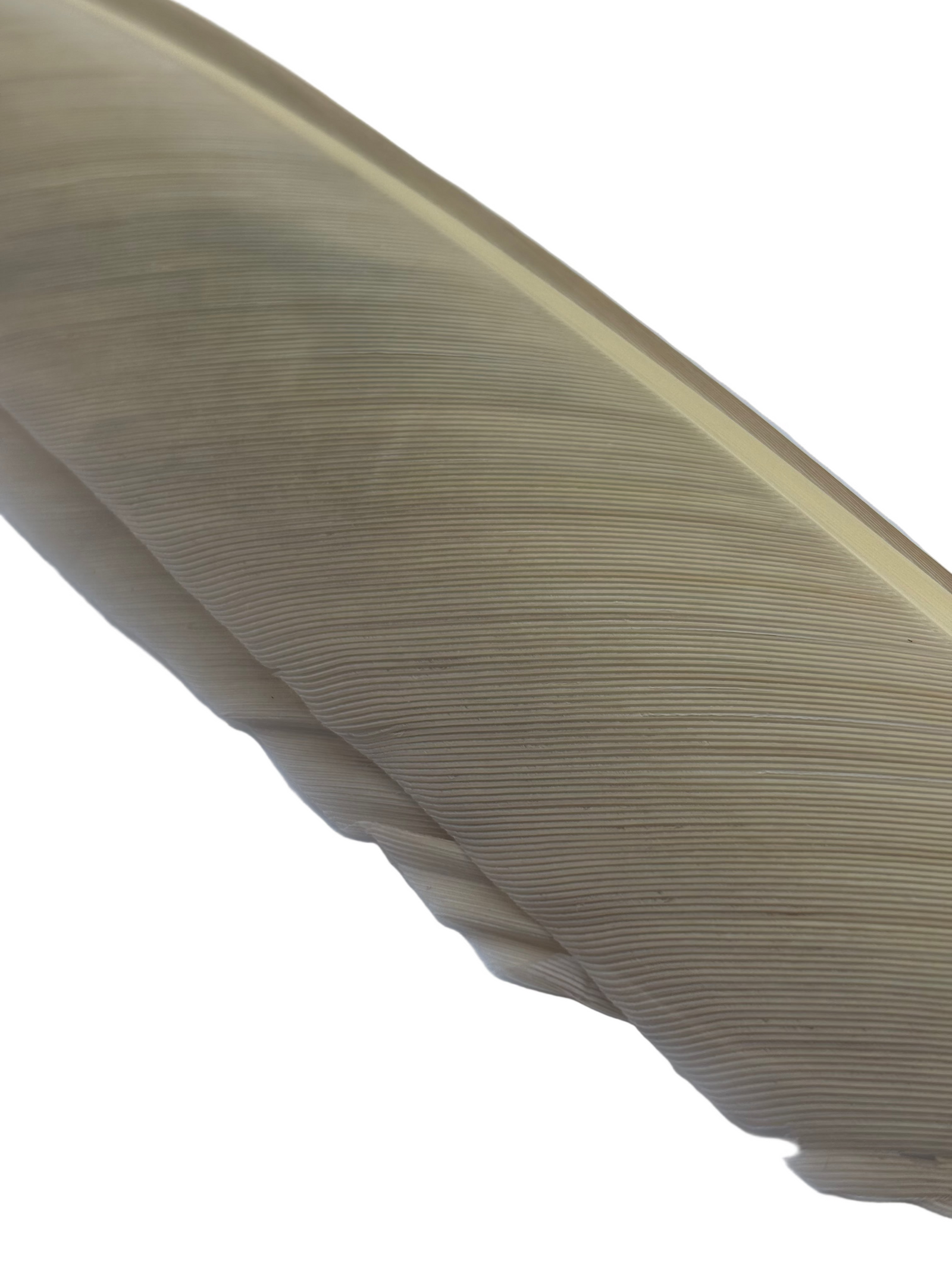 Nature's Spirit Turkey Biot Quill Pieces