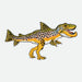 Remedy Troutasaurus Rex Decal