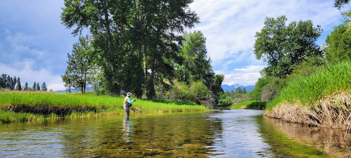 Walk & Wade Fly Fishing Trips