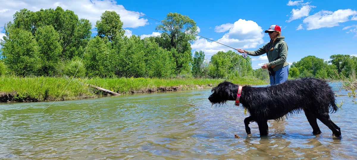 Walk & Wade Fly Fishing Trips