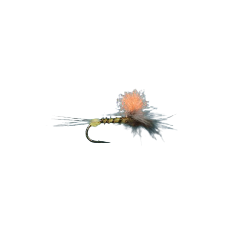 Rio Hi-Vis Spinner - BWO