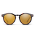 Suncloud Barnes Sunglasses