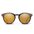 Suncloud Barnes Sunglasses