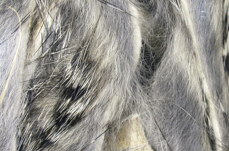 Hareline Barred Magnum Rabbit Strips