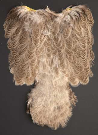 Whiting Brahma Hen Soft Hackle with Chickabou