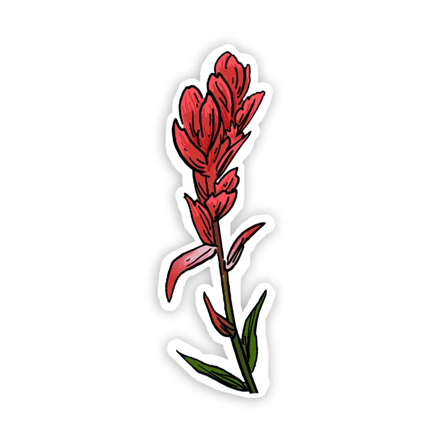 Indian Paintbrush Wildflower Vinyl Sticker