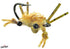 Umpqua's Contraband Crab- Tan