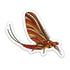 Mayfly Sticker Fall Theme