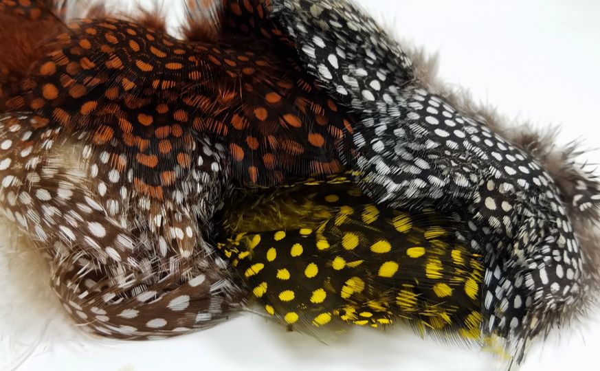 Nature's Spirit Fish Hunter Large Dot Guinea