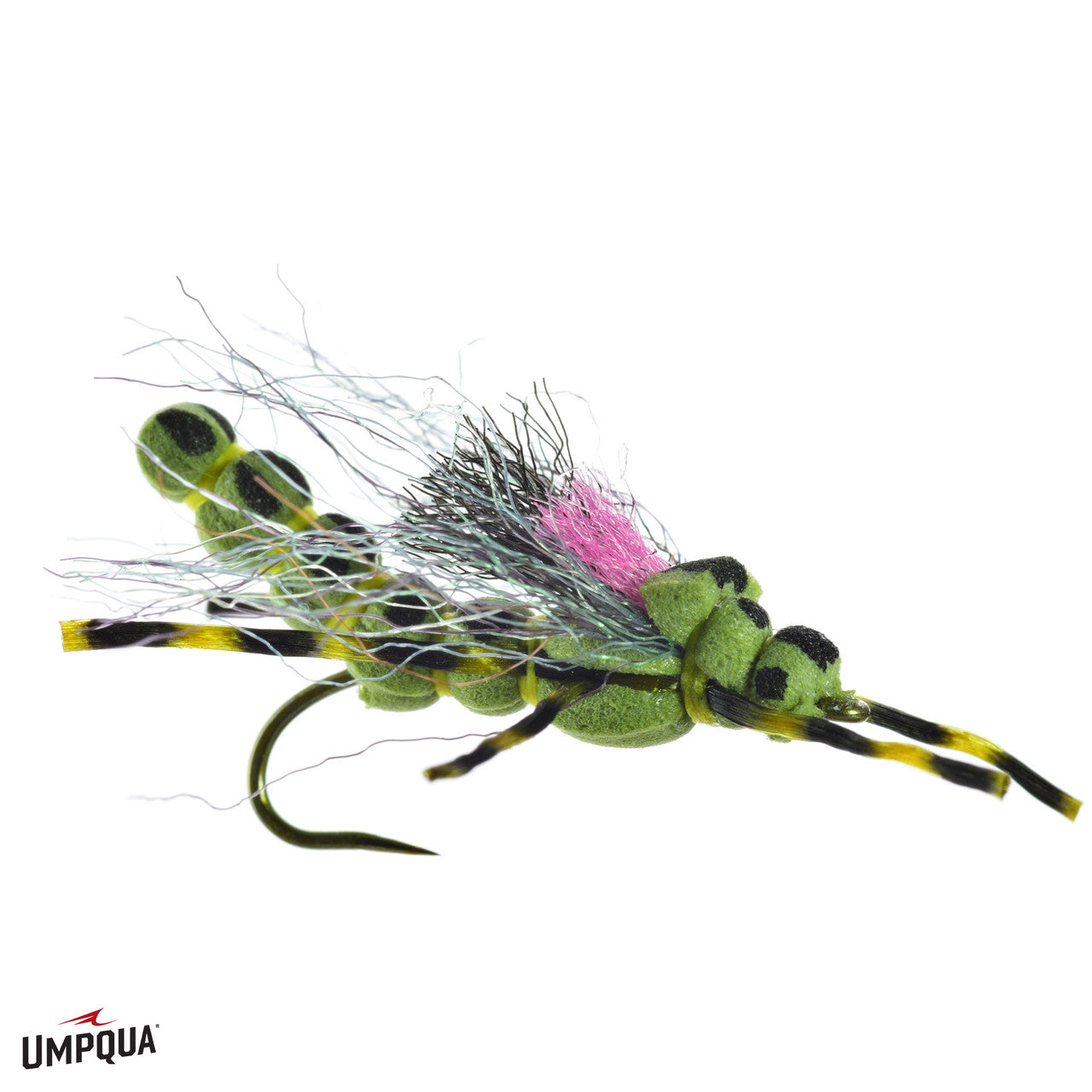 Morningwood Special- Skwala