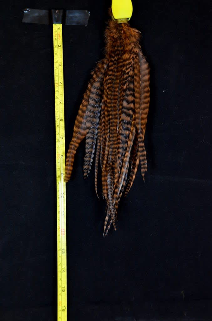 Whiting Schlappen <6