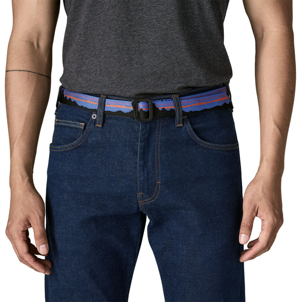 Patagonia Friction Belt