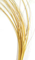 Hareline Quill Body