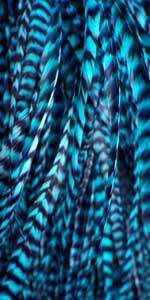 Whiting Schlappen 10"-14" Bundle