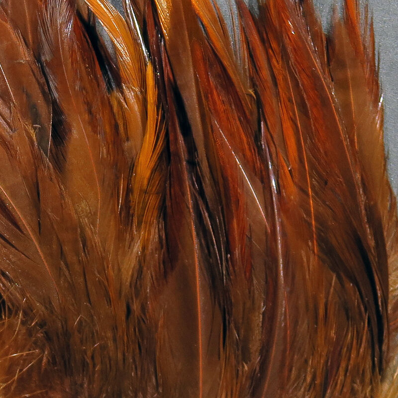 Load image into Gallery viewer, Hareline Strung Chinese 5-7&quot; Saddle Hackle 1 OZ
