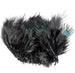 Ringneck Rump Hackle