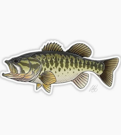 Casey Underwood Smallmouth Bass Sticker