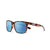 Suncloud Hundo Sunglasses