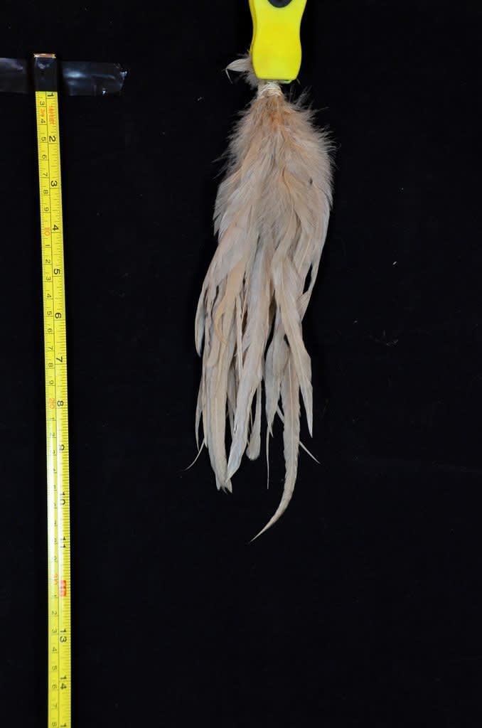 Whiting Schlappen <6