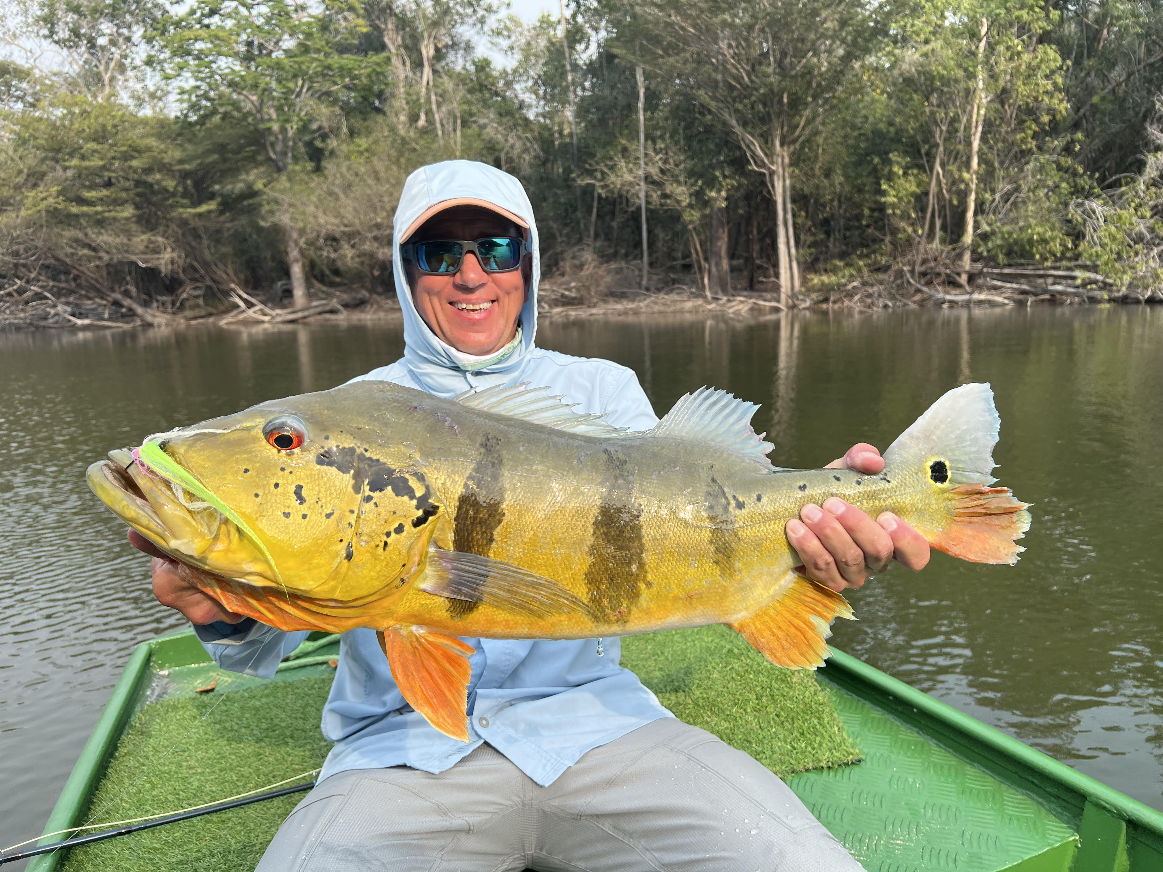 Peacock Bass Fly Assortment