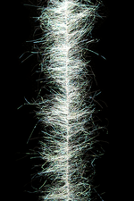 MFC Sparkle Minnow Body Brush