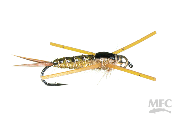 MFC Kyle's Golden Stone