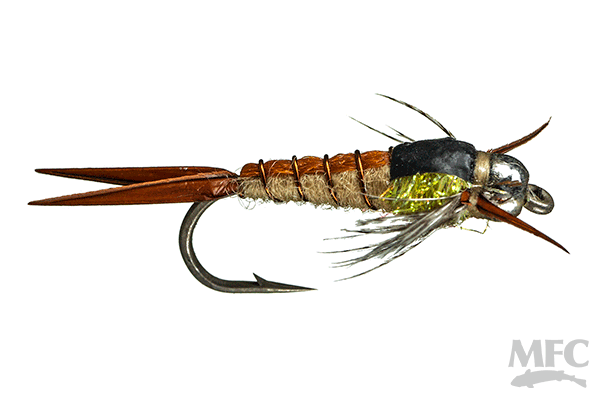 MFC Kyle's BH Yellow Sally