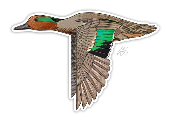 Casey Underwood Green Wing Teal Decal