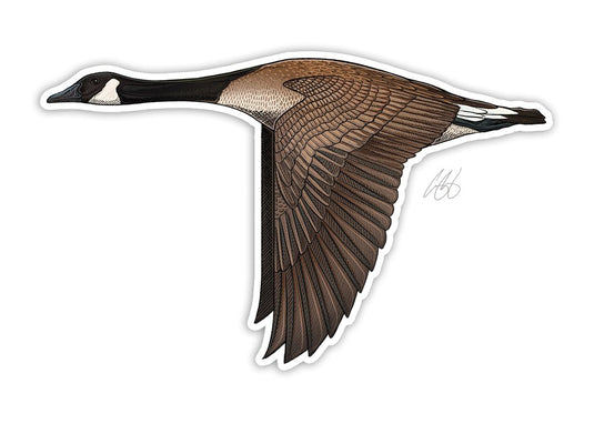 Casey Underwood Canada Goose Decal
