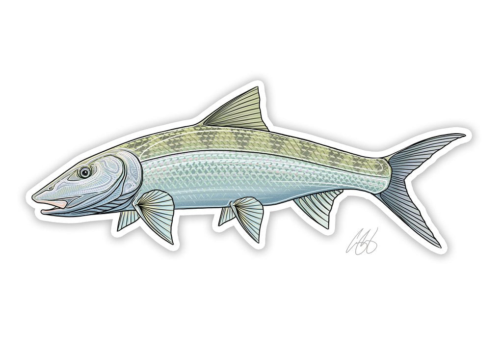 Casey Underwood Bonefish Decal