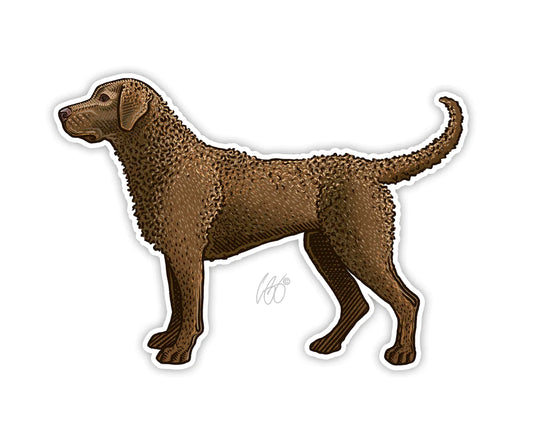 Casey Underwood Chesapeake Bay Retriever Decal