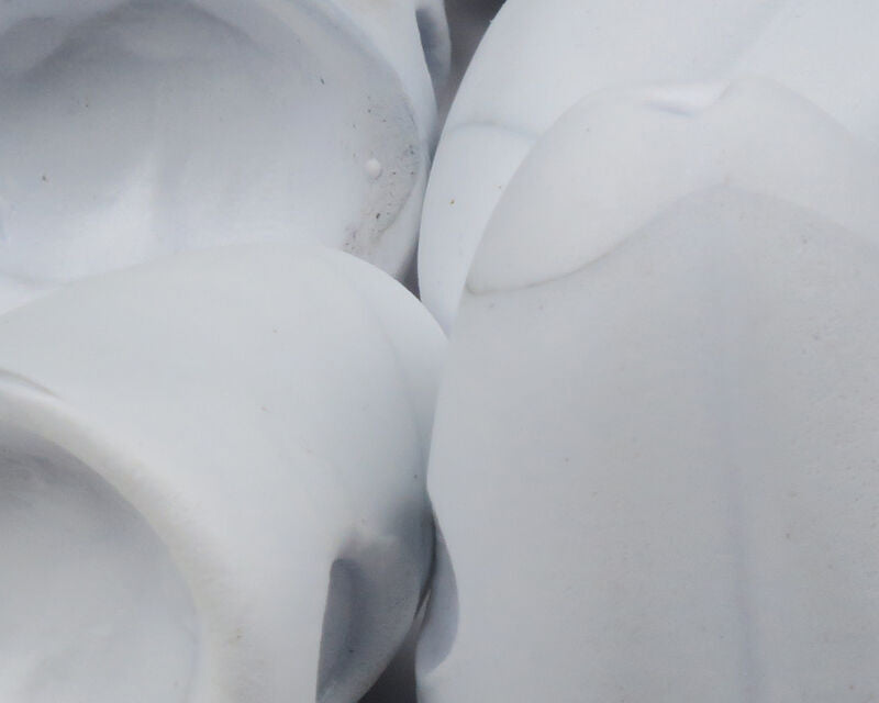 Surface Seducer Double Barrel Popper Bodies