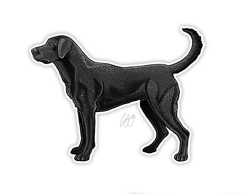 Casey Underwood Black Lab Decal