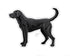 Casey Underwood Black Lab Decal