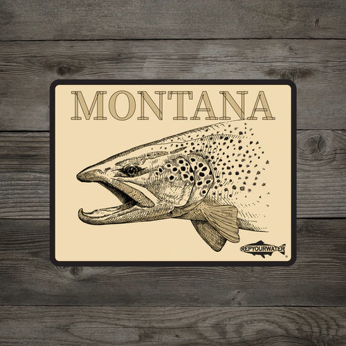 RepYourWater Montana Artist's Reserve