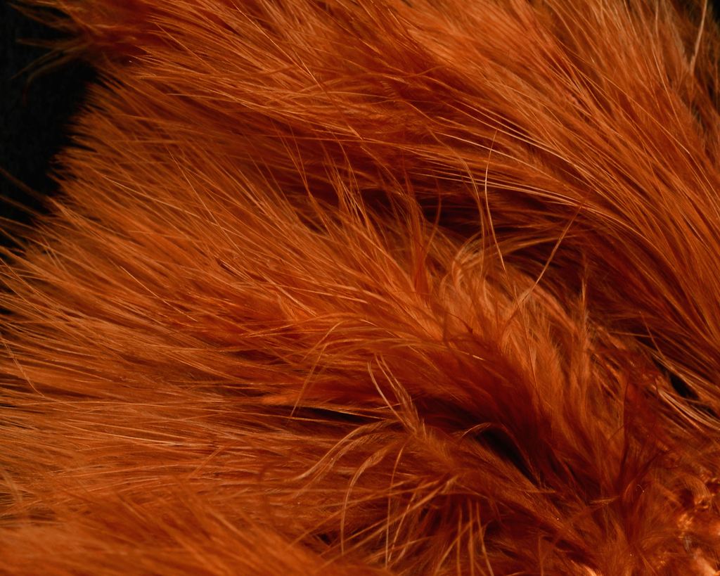 Hareline Strung Marabou Blood Quills