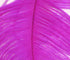 Spirit River UV2 Ostrich Plume - SALE