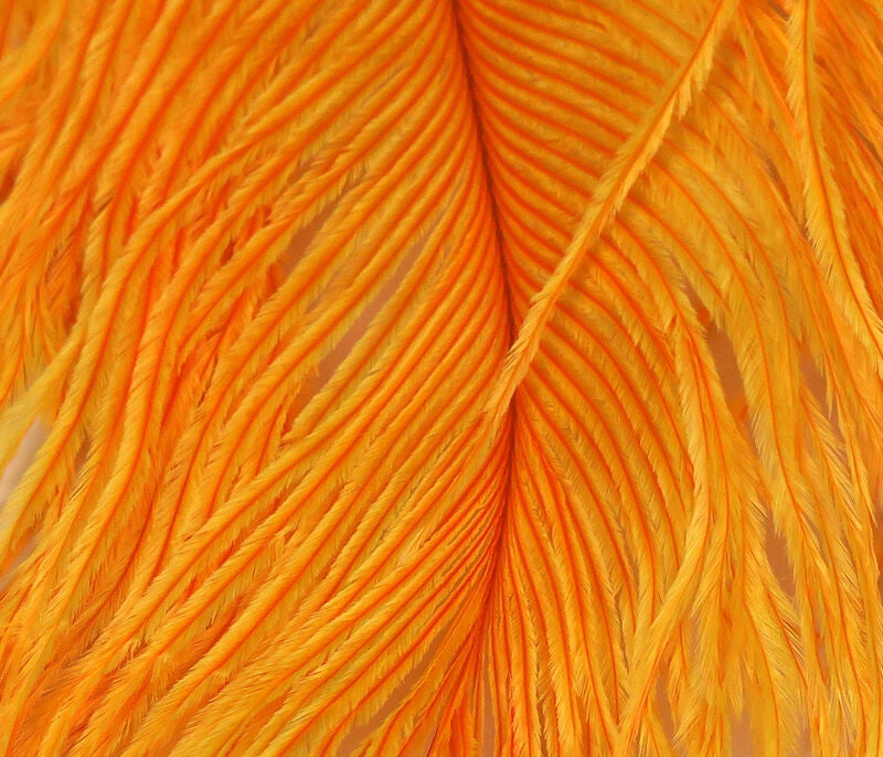 Spirit River UV2 Ostrich Plume - SALE