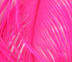 Spirit River UV2 Ostrich Plume - SALE