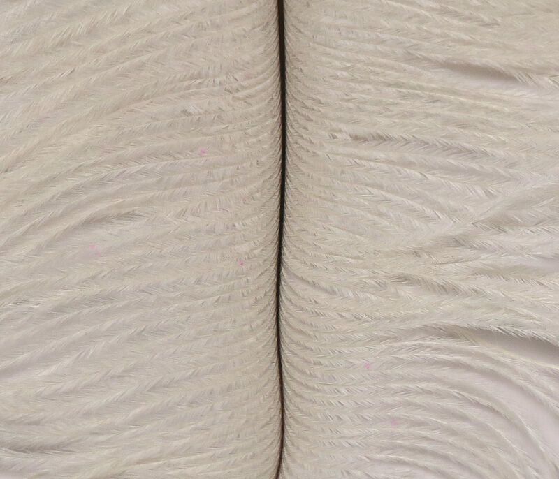 Spirit River UV2 Ostrich Plume - SALE