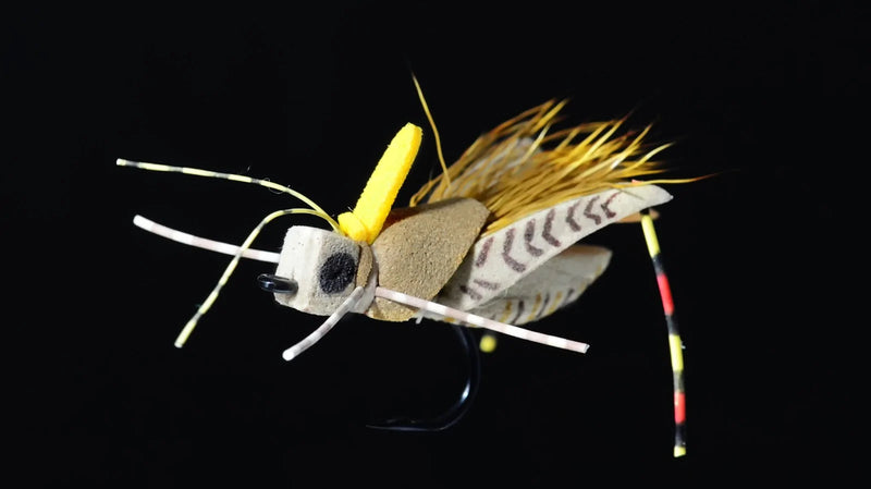 Load image into Gallery viewer, Hareline The Fly Fish Food Project Hopper Foam Body Cutter Set

