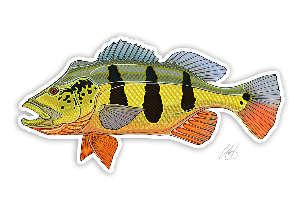 Casey Underwood Peacock Bass Decal