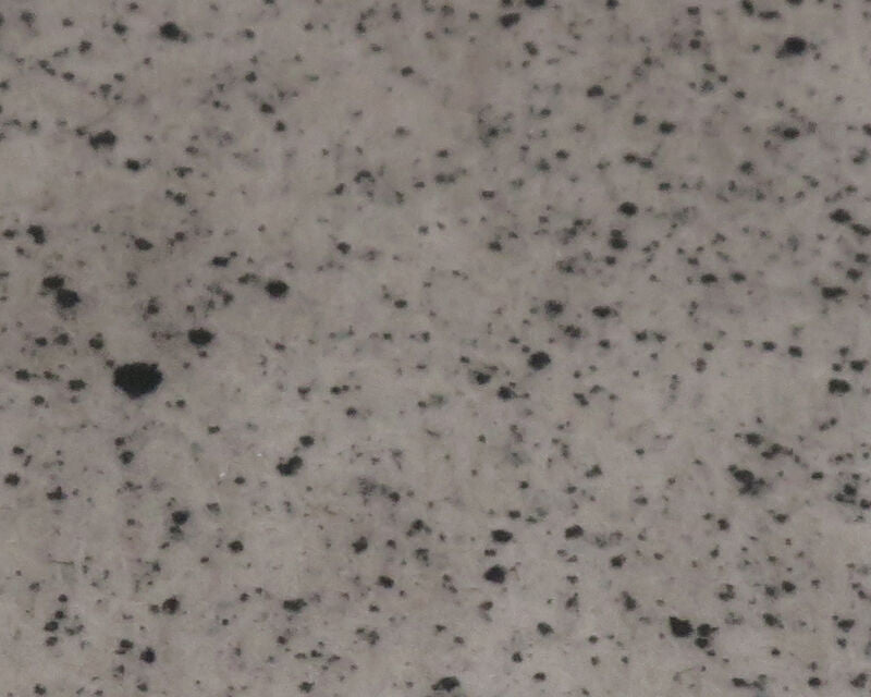 River Road Speckled Wing