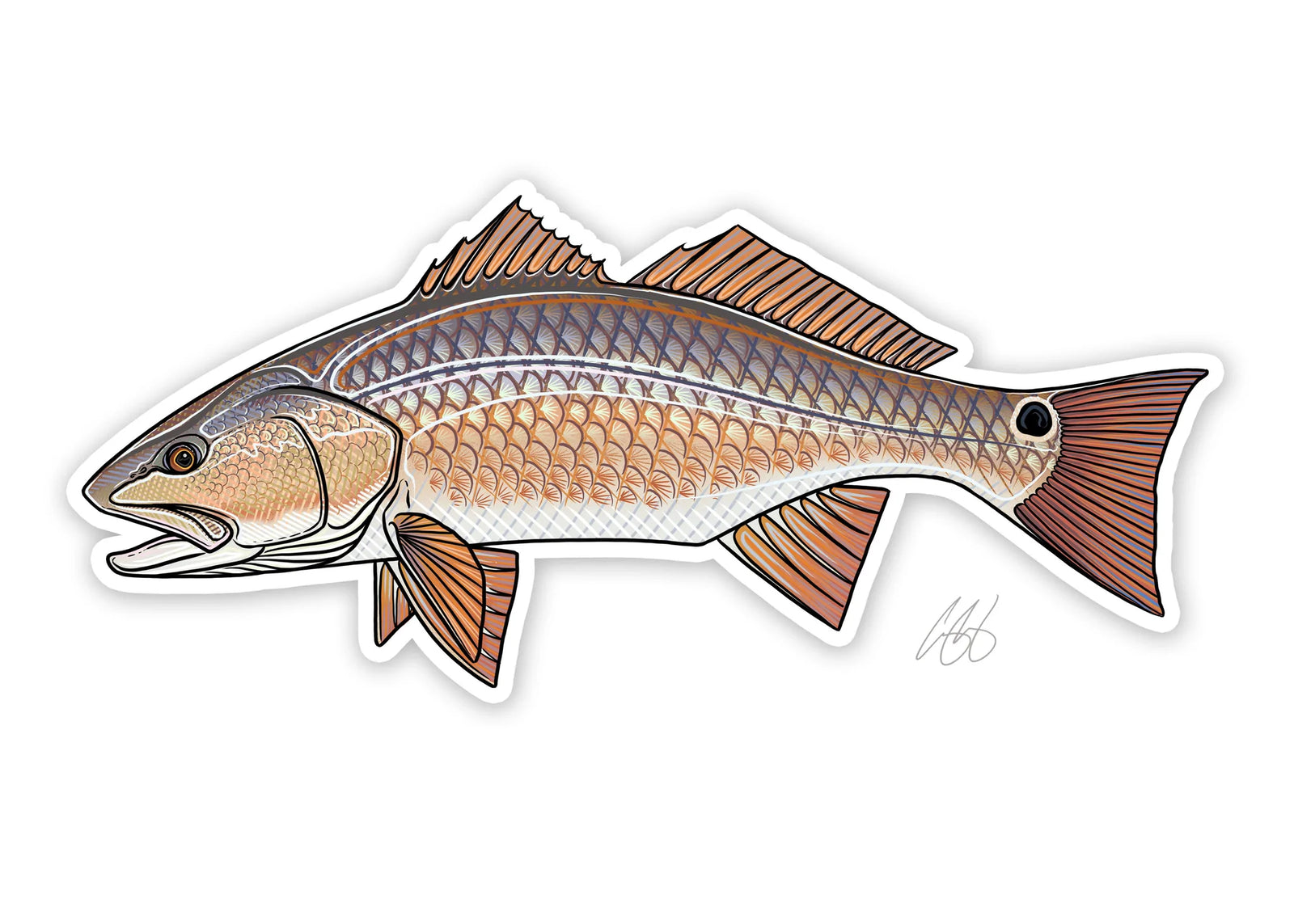 Casey Underwood Redfish Decal